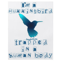 I'm a Hummingbird flyers