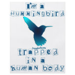 I'm a Hummingbird flyers