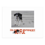 I'm A Joyful Springer Customize With Your Photo Postcard