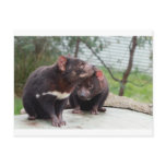 I'm A Little Devil postcards