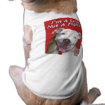 I'm a Lover not a Fighter Pet Clothes