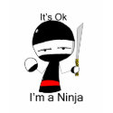 I'm a Ninja (ladies) t-shirts