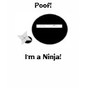 I'm a Ninja! t-shirts