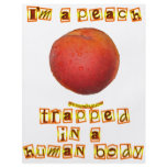I'm a Peach ... flyers