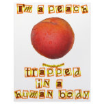 I'm a Peach ... Custom Letterhead