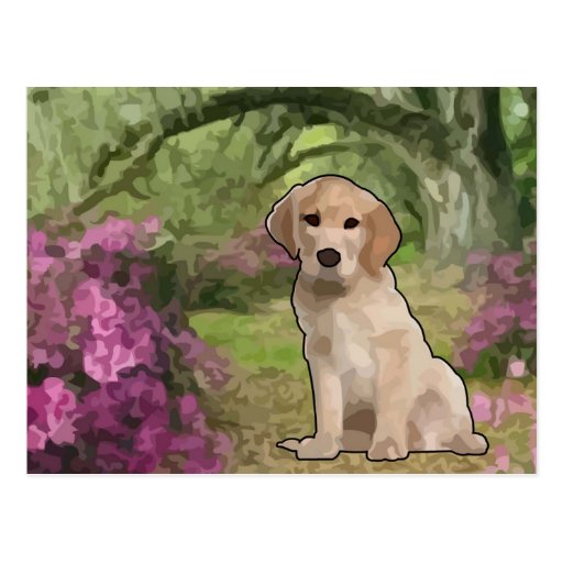 I'm a Puppy Postcard