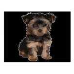I'm a Puppy! Postcards