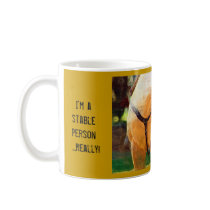 I'm a stable person...really! mugs
