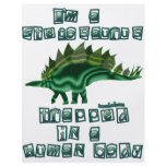 I'm a Stegosaurus flyers