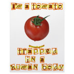 I'm a Tomato . . . Letterhead Design