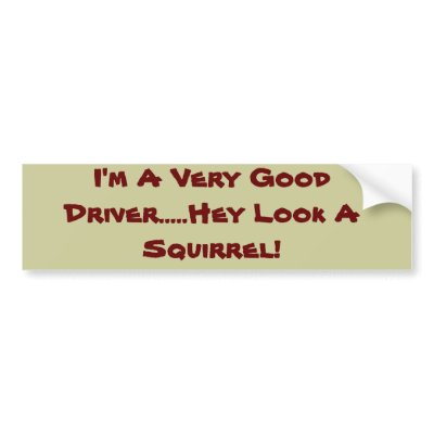 Driving Squirrel