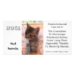 I'm against kittens on heroin photo cards