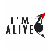 I'm Alive - Ivory Billed Woodpecker t-shirts