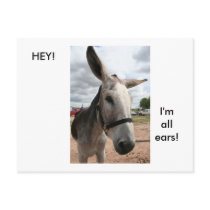 I'm All Ears postcards by roseygordon I'm All Ears postcards