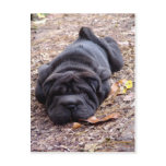 I'm all played out ! post card