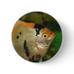 Im an Angel Pins