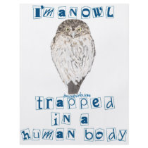 I'm an Owl Custom Flyer