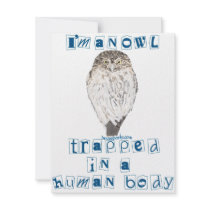 I'm an Owl invitations