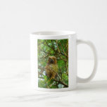 I'm Awake Coffee Mug