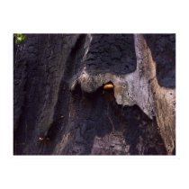 i'm batman posters by blacqbook i'm batman posters