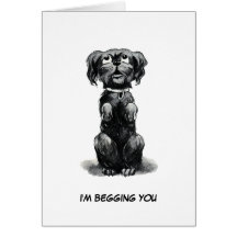 I'm Begging You-Belated Birthday Wishes Greeting Card