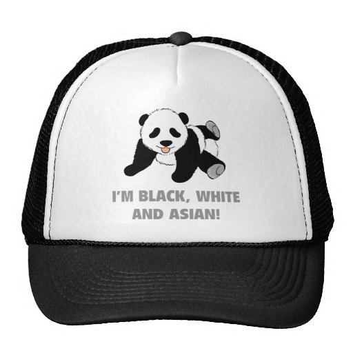 Asian Trucker Hat 107