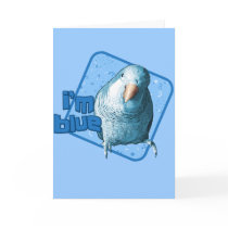 I'm Blue Quaker Parakeet Card by MenagerieMayhem I'm Blue Quaker Parakeet Card