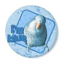 I'm Blue Quaker Parakeet Magnet