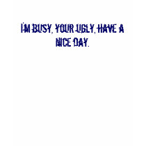 I'm busy, your ugly, have a nice day. t-shirts