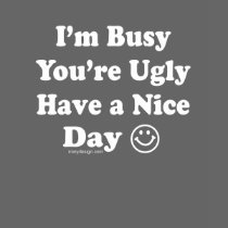 I'm Busy You're Ugly Have a Nice Day