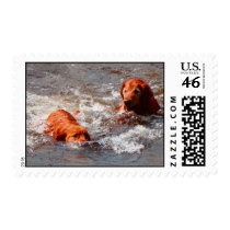 I'm Coming Back as a Dog Stamp