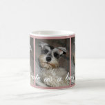 I'm cute as a bug's ear! mugs