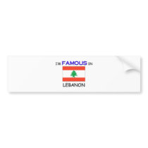 I'm Famous In LEBANON bumper stickers