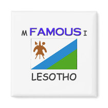 I'm Famous In LESOTHO magnets