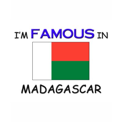 I'm Famous In MADAGASCAR T Shirt by flagshirt