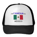 I'm Famous In MEXICO Hat