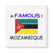 I'm Famous In MOZAMBIQUE magnets by flagshirt I'm Famous In MOZAMBIQUE magnets