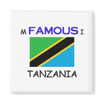 I'm Famous In TANZANIA magnets