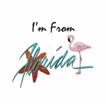 I'm From Florida Acrylic Cut Outs