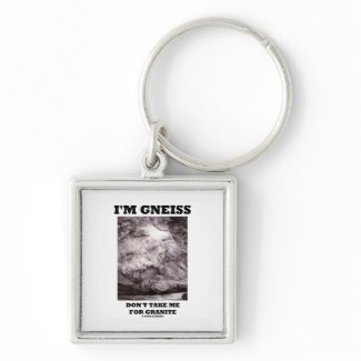 I'm Gneiss Don't Take Me For Granite (Rock Humor) keychain