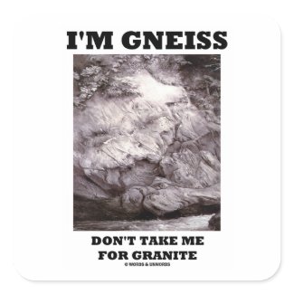 I'm Gneiss Don't Take Me For Granite (Rock Humor) sticker