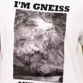 I'm Gneiss Don't Take Me For Granite (Rock Humor) shirt