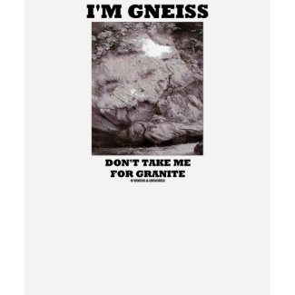 I'm Gneiss Don't Take Me For Granite (Rock Humor) shirt