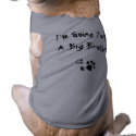 Im going to be a big brother - pet clothing