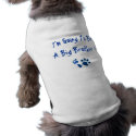 I'm Going To Be A Big Brother pet clothing by paquette_stephanie I'm Going To Be A Big Brother pet clothing