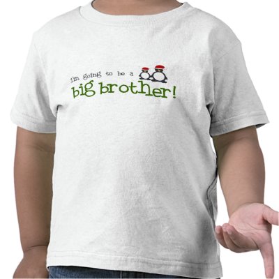 I'm going to be a big brother tee shirts by zoeysattic