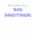 I'm gonna be a BIG BROTHER! t-shirts