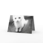 I'm here for you greeting cards