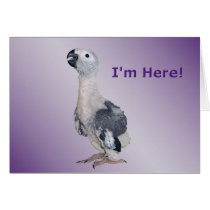 I'm Here cards