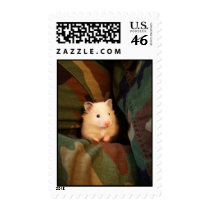 I'm Hiding postage